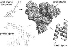 albumin binding protein