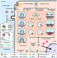 Non-viral transfection vectors: are hybrid materials the way forward