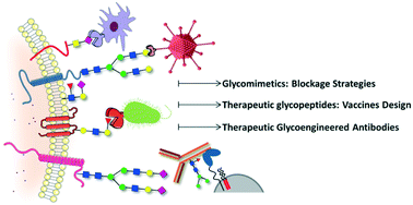 Glycans In Drug Discovery Medchemcomm Rsc Publishing