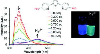 Increased Binding Of Thiophene Based Ligands To Mercury Ii With Water Solubilizing Functional Groups Molecular Systems Design Engineering Rsc Publishing