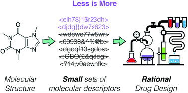 Less may be more: an informed reflection on molecular descriptors for ...