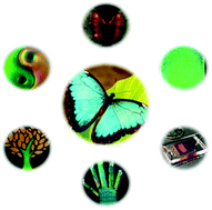 A12260311]Structural Colors in Biologocal Systems [ハード