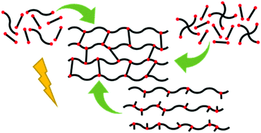 Chemistries and capabilities of photo-formable and photoreversible crosslinked  polymer networks - Materials Horizons (RSC Publishing)