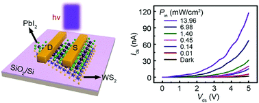 High Responsivity Two Dimensional P Pbi2 N Ws2 Vertical Heterostructure Photodetectors Enhanced By Photogating Effect Materials Horizons Rsc Publishing