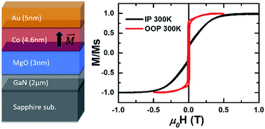 Evidence of a strong perpendicular magnetic anisotropy in Au/Co/MgO/GaN  heterostructures - Nanoscale Advances (RSC Publishing)