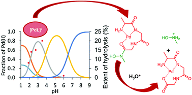 Versatility And Trends In The Interaction Between Pd Ii And Peptide Hydroxamic Acids New Journal Of Chemistry Rsc Publishing
