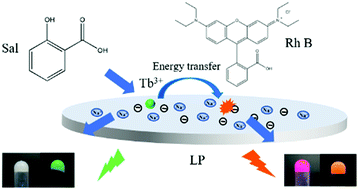 Luminescence Resonance Energy Transfer In Hybrid Materials Based On ...