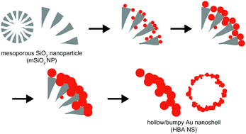 Ion-shaping of embedded gold hollow nanoshells into vertically aligned  prolate morphologies