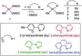 Arene C–H bond activation and methane formation by a methylplatinum(ii ...