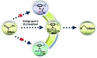 Ruthenium-catalyzed Deoxygenative Hydroboration Of Carboxylic Acids: A ...