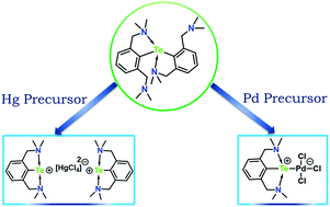 Reactivity of bis[{2,6-(dimethylamino)methyl}phenyl]telluride with Pd(ii)  and Hg(ii): isolation of the first Pd(ii) complex of an organotellurenium  cation as a ligand - New Journal of Chemistry (RSC Publishing)