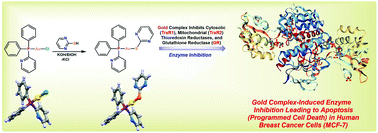 glutathione reductase enzyme Best Glutathione Supplement main image 0