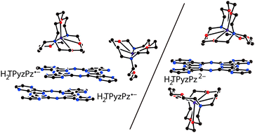 Base Molecular Structure