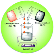 Biosynthesis nanocomposites using leaf 06 image