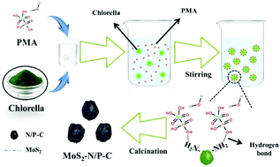 A Composite Of Ultra Fine Few Layer Mos2 Structures Embedded On N P Co Doped Bio Carbon For High Performance Sodium Ion Batteries New Journal Of Chemistry Rsc Publishing