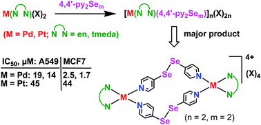 Synthesis And Anti Proliferative Activities Of Amine Capped Pd And Pt Macrocycles Of 4 4 Dipyridylselenides New Journal Of Chemistry Rsc Publishing