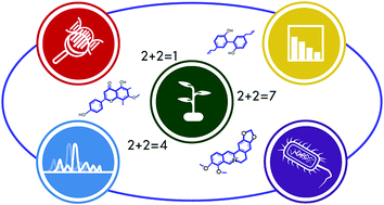 Natural Extracts - part 2