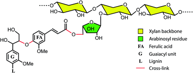 Phenolic Cross Links Building And De Constructing The Plant Cell Wall Natural Product Reports Rsc Publishing