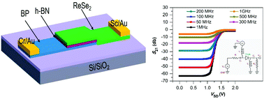 Tunneling Based Rectification And Photoresponsivity In Black Phosphorus Hexagonal Boron Nitride Rhenium Diselenide Van Der Waals Heterojunction Diode Nanoscale Rsc Publishing