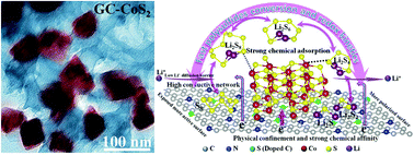 Naturally Derived Honeycomb Like N S Codoped Hierarchical Porous Carbon With Ms2 M Co Ni Decoration For High Performance Li S Battery Nanoscale Rsc Publishing