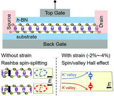 Ferroelectric Rashba Semiconductors Agbip2x6 X S Se And Te With Valley Polarization An Avenue Towards Electric And Nonvolatile Control Of Spintronic Devices Nanoscale Rsc Publishing