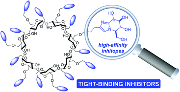 Tight-binding inhibition of jack bean α-mannosidase by glycoimidazole  clusters - Organic & Biomolecular Chemistry (RSC Publishing)