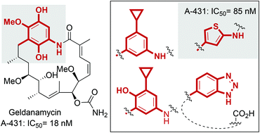 New Geldanamycin Derivatives With Anti Hsp Properties By Mutasynthesis Organic Biomolecular Chemistry Rsc Publishing