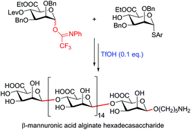 Highly Convergent Synthesis Of A B Mannuronic Acid Alginate Hexadecasaccharide Organic Biomolecular Chemistry Rsc Publishing