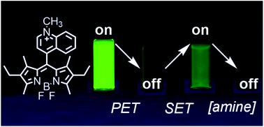 Multi State Amine Sensing By Electron Transfers In A Bodipy Probe Organic Biomolecular Chemistry Rsc Publishing