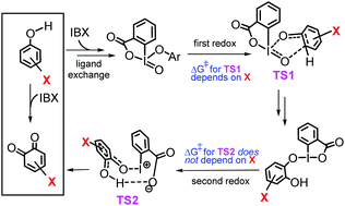 Mechanistic investigation into phenol oxidation by IBX elucidated by ...