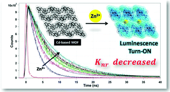 Effect of charge transfer and structural rigidity on divergent ...