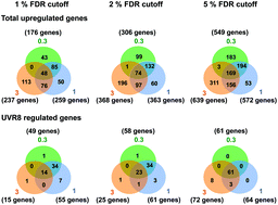 Regulation Of Arabidopsis Gene Expression By Low Fluence Rate Uv B Independently Of Uvr8 And Stress Signaling Photochemical Photobiological Sciences Rsc Publishing