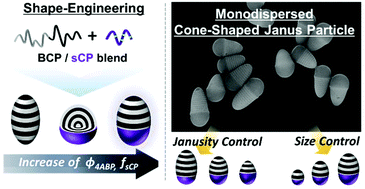 Shape control of nanostructured cone-shaped particles by tuning the blend  morphology of A-b-B diblock copolymers and C-type copolymers within  emulsion droplets - Polymer Chemistry (RSC Publishing)