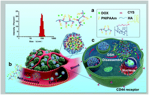 Poly N Isopropylacrylamide Derived Nanogels Demonstrated Thermosensitive Self Assembly And Gsh Triggered Drug Release For Efficient Tumor Therapy Polymer Chemistry Rsc Publishing