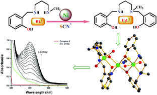 In Situ Transformation Of A Tridentate To A Tetradentate Unsymmetric Schiff Base Ligand Via Deaminative Coupling In Ni Ii Complexes Crystal Structures Magnetic Properties And Catecholase Activity Study Inorganic Chemistry Frontiers Rsc