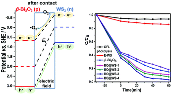 Hollow Core Shell B Bi2o3 Ws2 P N Heterojunction For Efficient Photocatalytic Degradation Of Fluoroquinolones A Theoretical And Experimental Study Inorganic Chemistry Frontiers Rsc Publishing