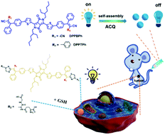 A glutathione responsive pyrrolopyrrolidone nanotheranostic agent for  turn-on fluorescence imaging guided photothermal/photodynamic cancer therapy 