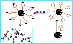 Microwave-assisted synthesis of glutathione-coated hollow zinc oxide for  the removal of heavy metal ions from aqueous systems