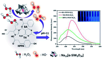 Fluorometric enhancement of the detection of H2O2 using different ...