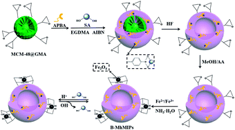 Determination of sialic acid in serum samples by dispersive solid-phase extraction based on ...