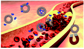 The role of hollow magnetic nanoparticles in drug delivery - RSC Advances  (RSC Publishing)