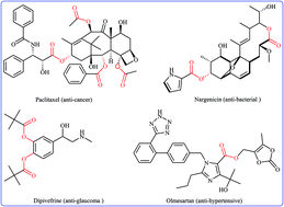 Cross Dehydrogenative Coupling Reactions Between Arenes C H And Carboxylic Acids O H A Straightforward And Environmentally Benign Access To O Aryl Esters Rsc Advances Rsc Publishing