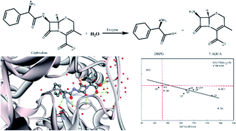 Using Molecular Dynamics Simulations To Evaluate Active Designs Of Cephradine Hydrolase By Molecular Mechanics Poisson Boltzmann Surface Area And Molecular Mechanics Generalized Born Surface Area Methods Rsc Advances Rsc Publishing