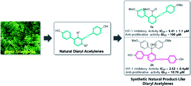 Synthesis of novel natural product-like diaryl acetylenes as