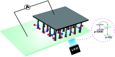Self-powered gas sensor based on SiNWs/ITO photodiode - RSC Advances ...
