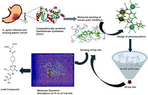 Molecular docking, pharmacophore based virtual screening and molecular ...