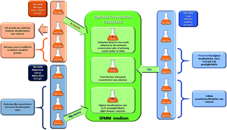 On the road to cost-effective fossil fuel desulfurization by Gordonia  alkanivorans strain 1B - RSC Advances (RSC Publishing)