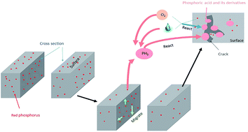 Failure Behavior Of Nylon Products For Red Phosphorus Flame Retardant Electrical Connectors Rsc Advances Rsc Publishing