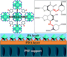 A Thin Film Nanocomposite Membrane With Pre-immobilized UiO-66-NH2 ...