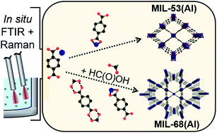 In situ Raman and FTIR spectroscopic study on the formation of the ...